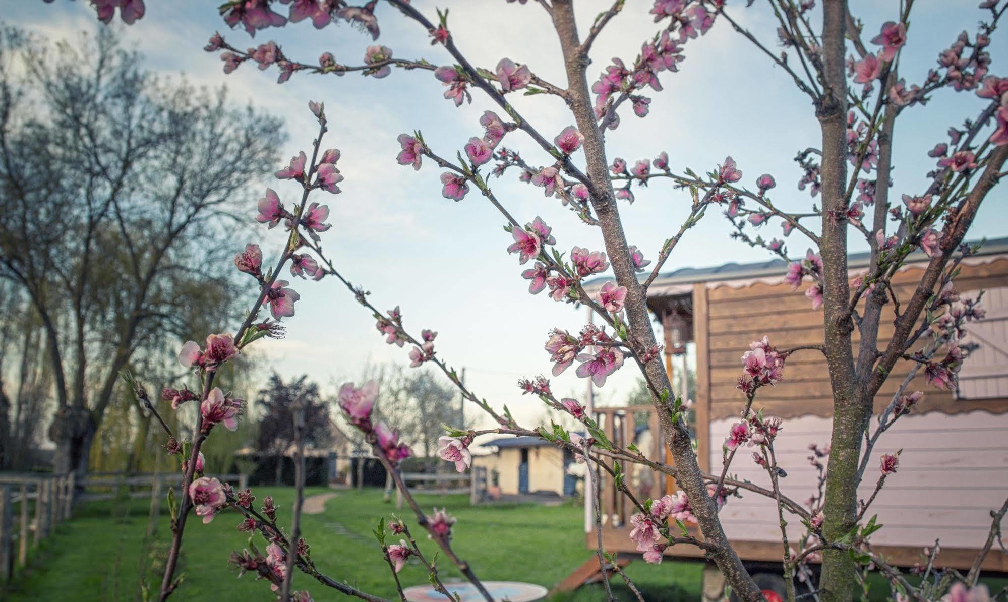 Les Roulottes De La Brauderie Villa Brissarthe Bagian luar foto